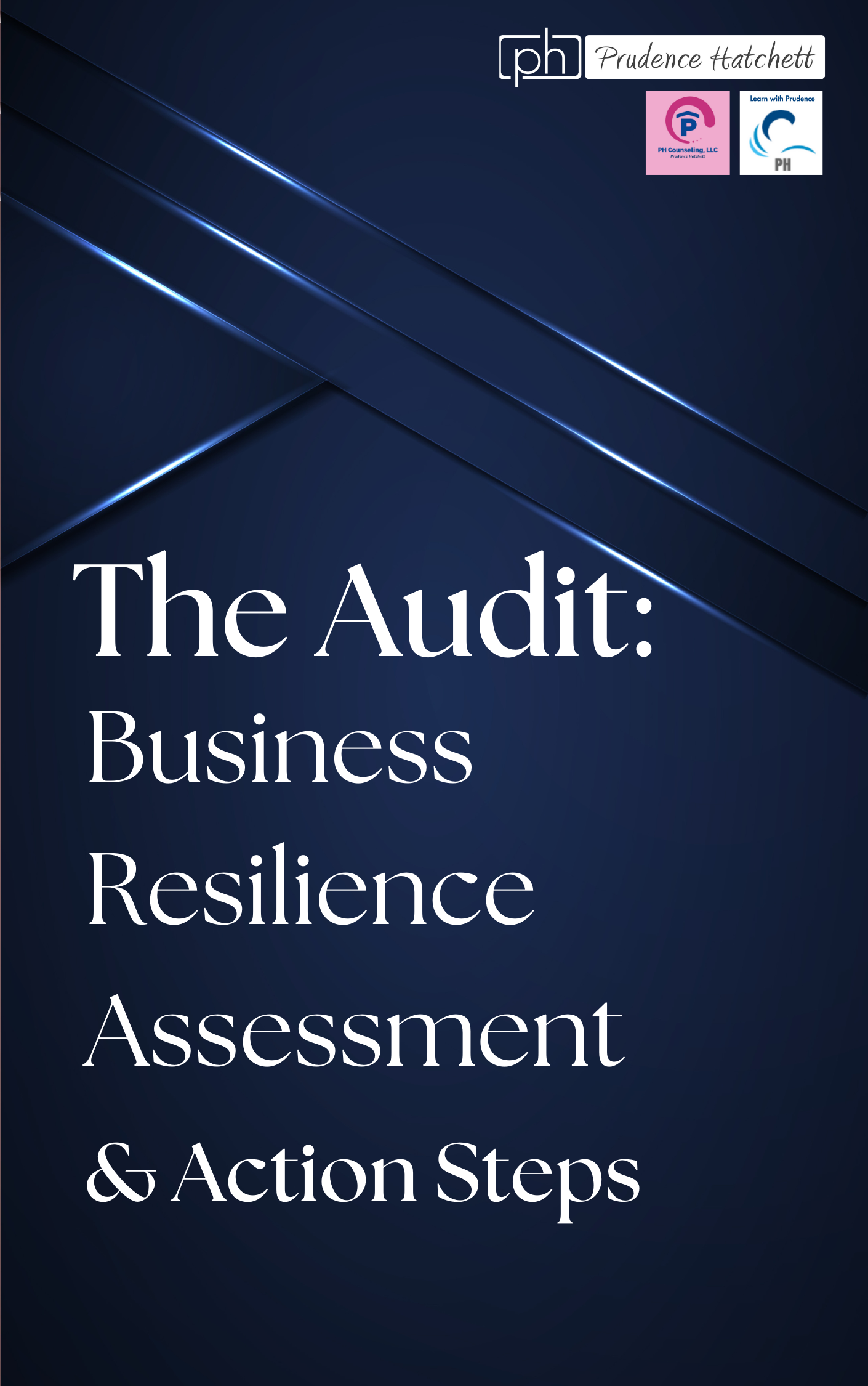 The Audit: Business Resilience Assessment & Action Steps