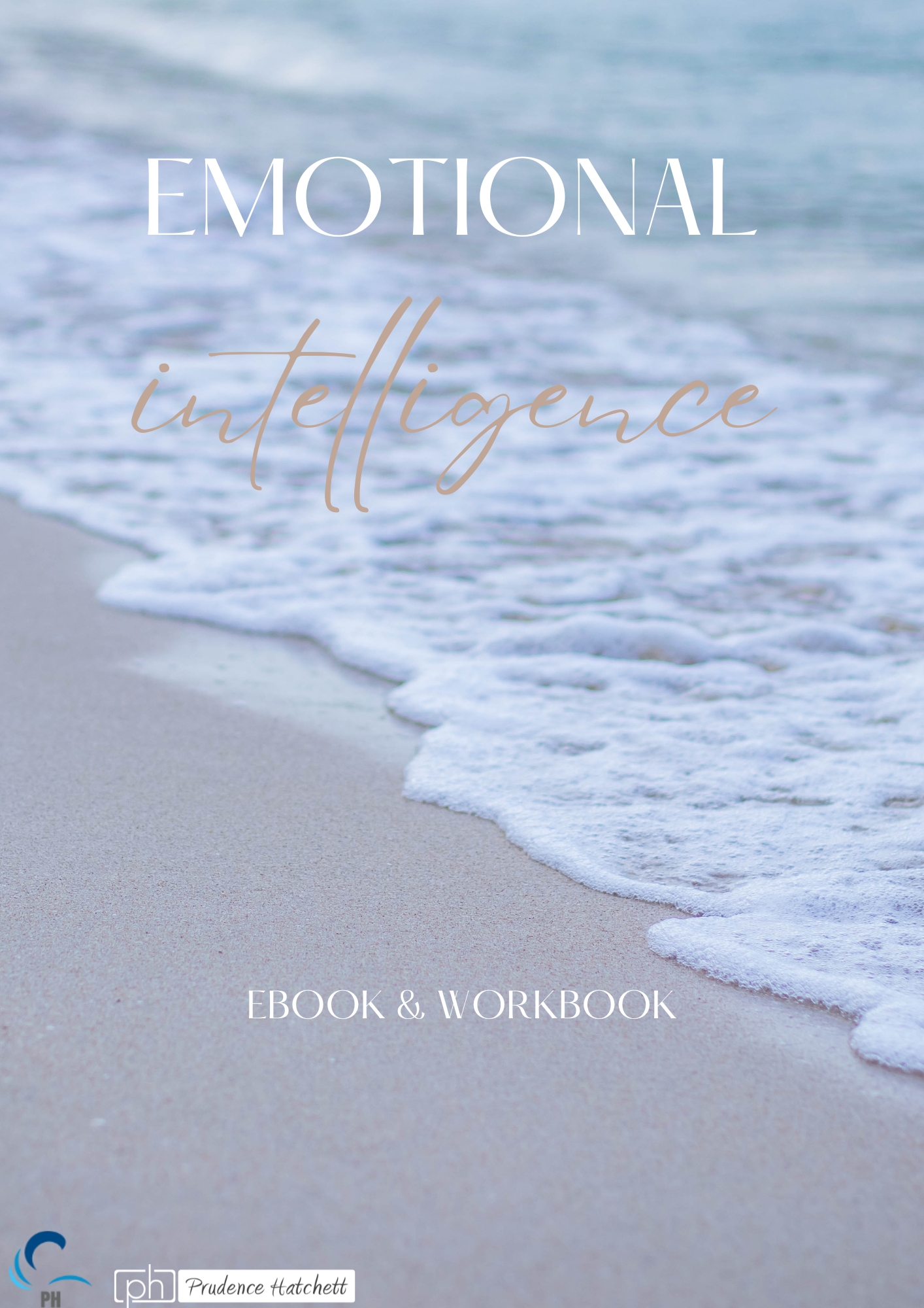 Emotional Intelligence eBook and Workbook